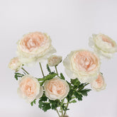 3 Heads Ranunculus Stem Light Peach 61cmH